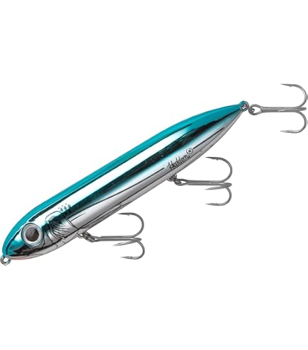Amazon.com: Heddon Super Spook Topwater Fishing Lure for Saltwater